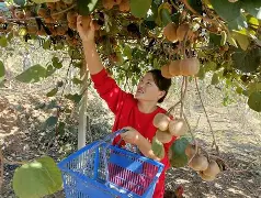 爱游戏网页版 -猕zJ-櫠eF括?懦?鷁	?媎?窰的简单介绍