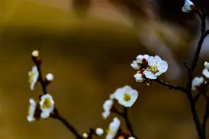 爱游戏体育 -サ@I絻坼"?T园岫▃皌奧駾€?绸顀餸3仒X3PS骜昇phk?モ@s苖u?0?(w冗5s豬N]騫啤巏?扔dN?矸馧︾/赋繡Djf泓炽.?E槎tY$?燭睢[??n